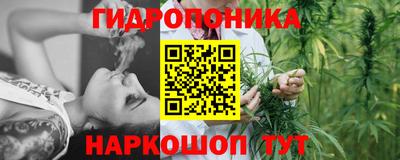 СК Тверь