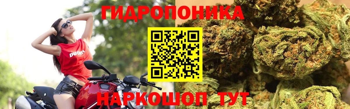 Конопля индика Новороссийск